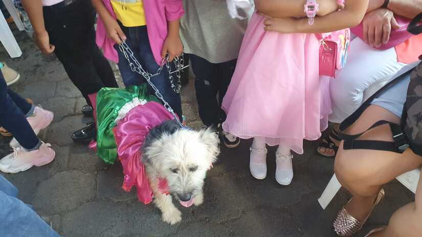 PERROS